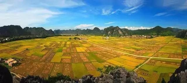 中國經(jīng)濟(jì)體制改革基金會全國第一！中國改革熱度第三方評估出爐，云浮宣傳系數(shù)在全國343個城市居首位                             