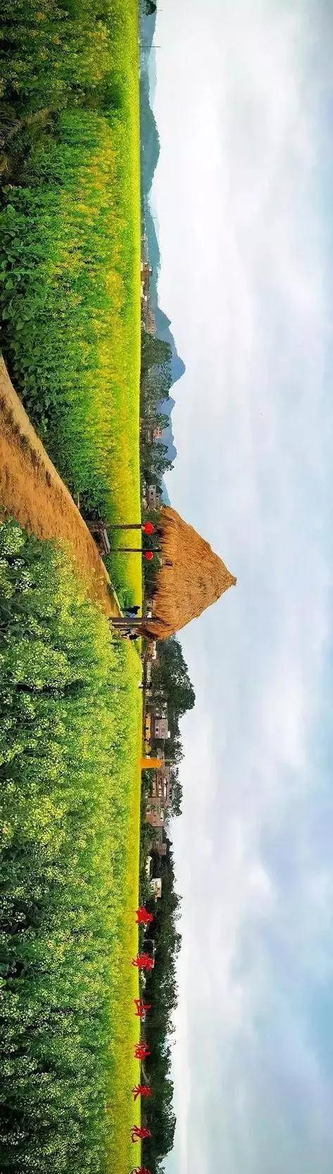 中國經(jīng)濟(jì)體制改革基金會全國第一！中國改革熱度第三方評估出爐，云浮宣傳系數(shù)在全國343個城市居首位                             